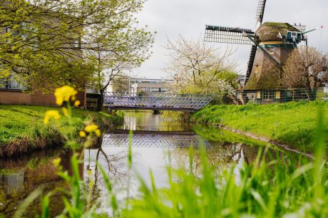 Windmolenbrug