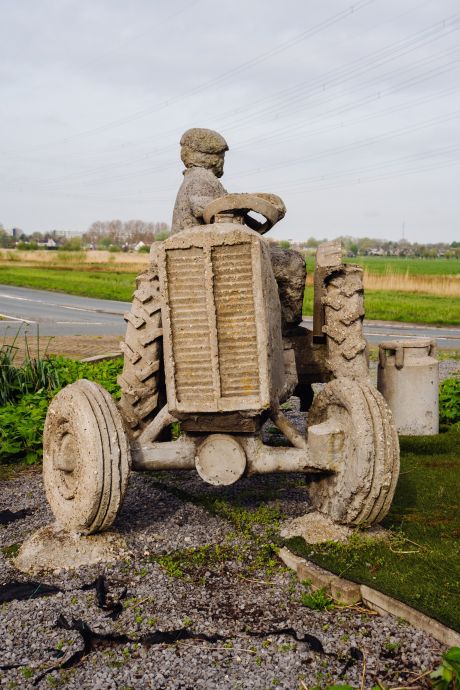 Koeien met Tractor